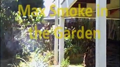 1/12th scale, 45mm gauge, Live Diesel - Max Smoke in the Garden