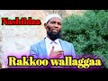 Abdosh Aliyyi Walaloo Rakkoo Wallaggaa