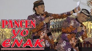 PERCIL CS - numpak i janda ? ? ?  POKOK ENAK