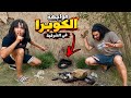 اخطر رحلة صيد ثعابين في الشرقيهوصلنا لمكان الكوبرا mp3