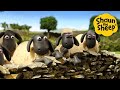 Shaun The Sheep S Silliest Adventures Kids Cartoons Funny Moments Compilation 1 Hour