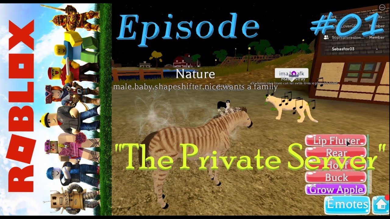 Roblox - Episode #01 "The Private Server" - YouTube