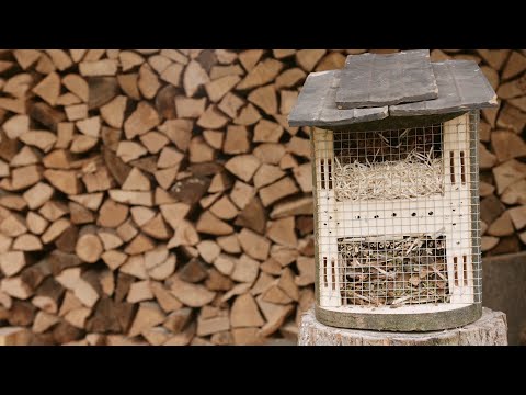 Video: Domači hoteli za žuželke – gradnja hotela za žuželke za vrt