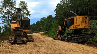 Tigercat LX830E \& LX830C A years worth of logging for Metzler Forest Products