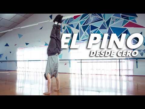 Video: ¿Cómo es el pino?