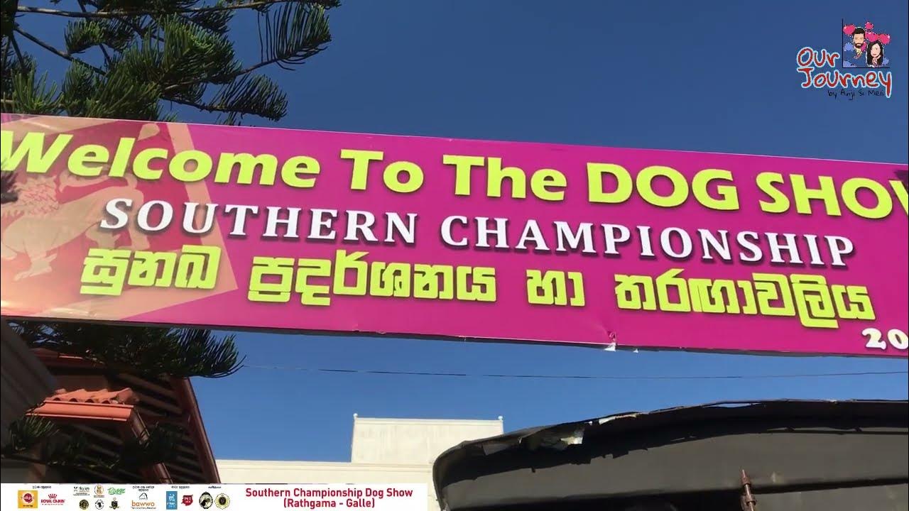 Southern Championship Dog Show 2022 YouTube