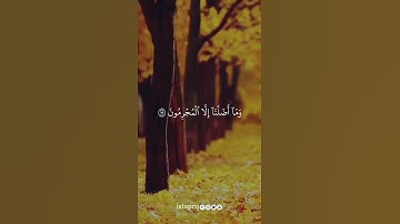 قالوا وهم يختصمون * تالله إنا كنا لفي ظلال مبين | سورة الشعراء | ياسر الدوسري