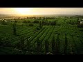 Karez System and Agricultural Practices