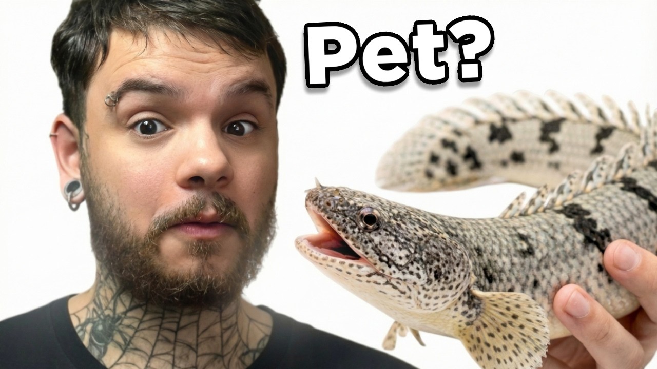 CRIANDO um PEIXE DINOSSAURO em CASA (é serio) - Aqua Rato