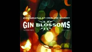 Video thumbnail of "Gin Blossoms - Day Job"