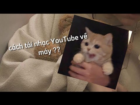 Cách tải nhạc YouTube về máy ❤️