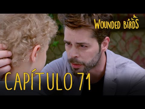 Wounded Birds (Yaralı Kuşlar) | Capítulo 71 en Español
