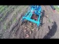 Уборка картофеля. Harvesting potatoes.