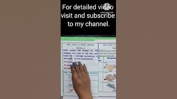 Class - 3 MDP EVS THEME - Animals || Activity 1 and 2 || Types of animals || terrestrial arboreal
