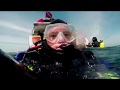 Scuba Diving The Coronado Islands, Mexican Wildlife Refuge from San Diego California