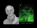James Hillman - A Terrible Love of War