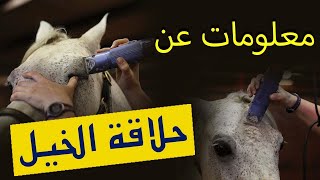 كل مايخص حلاقة الخيل من تنوع الاسباب الى الماكينة المناسبة 👍🏻🐎 😍