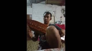 Download Lagu Sape Dayak Instrument Akustik \ MP3