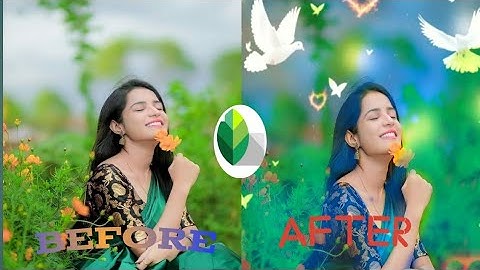 Snapseed Green And Bird Effect Photo Editing Tutorial | Snapseed Background Colour Change Tricks