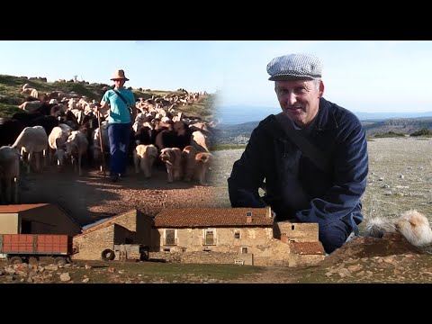 Oficios y trabajos tradicionales de una FAMILIA EN EL MONTE: Los Mengod | Documental