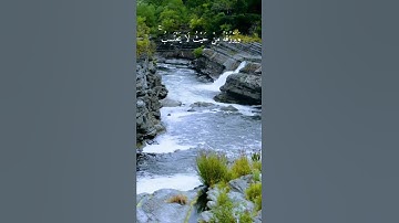 قران كريم / تلاوة خاشعة / راحة نفسية / شريف مصطفى ( وَمَنْ يَتَّقِ اللَّهَ يَجْعَلْ لَهُ مَخْرَجًا )