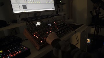 Prophet Rev2: First Day