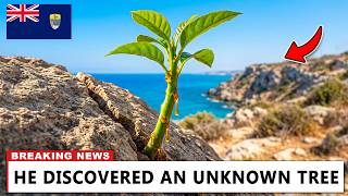 This Remote Island Found the Last 2 Trees on Earth — What Followed Was Impossible