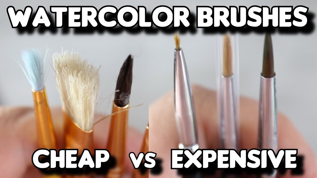 Cheap VS Expensive Watercolor Brushes for Beginners 