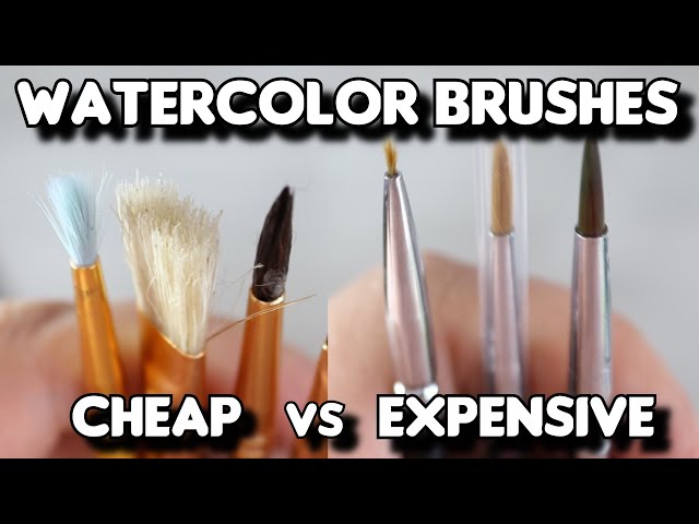 A full guide on the best brushes to use for watercolour painting