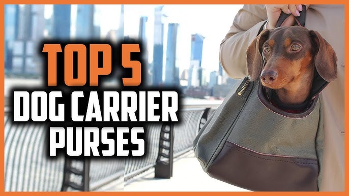 Louis Vuitton Sac Chien 50, Dog Carrier Review