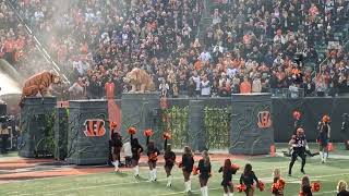 Cincinnati Bengals player introductions. December 16, 2023. Vikings vs Bengals. Paycor Stadium