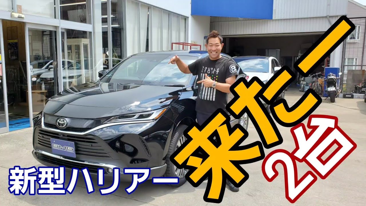 GOさんご購入予定です。 トヨタ HARRIER ブラックパール ケース付 新型ハリアー NEW HARRIER】この色はどちらに見えますか？ブラックor