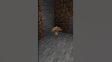 Do you want a lot of Mushrooms in Minecraft?