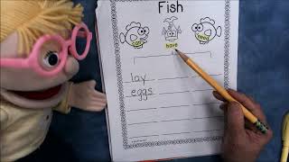 Kindergarten Thinking Map - Tree Map - Fish