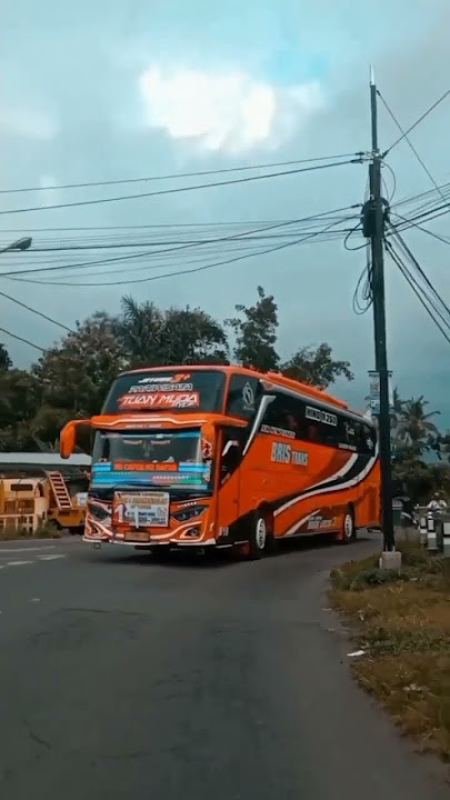 Story'wa bus BRIS Trans 'Tuan Muda' Concept baru