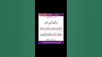سورة الحج - سورة 22 - اية (77)