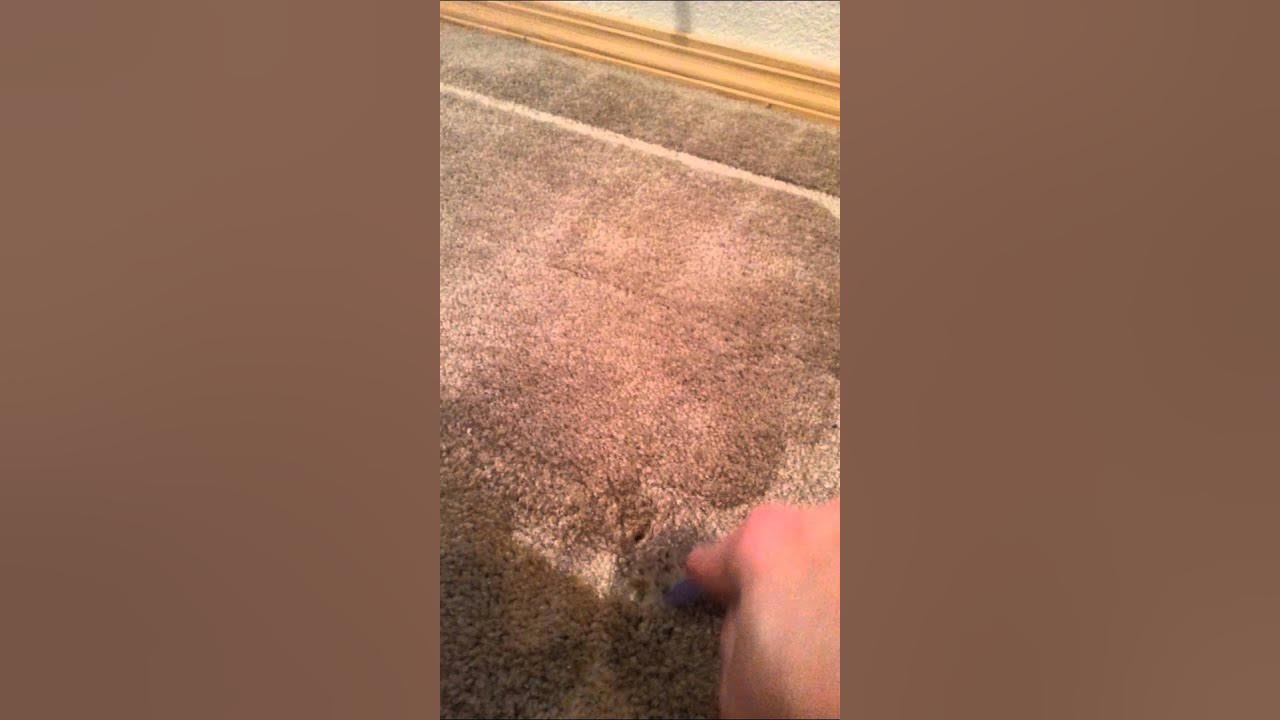How to remove furniture marks from carpet YouTube