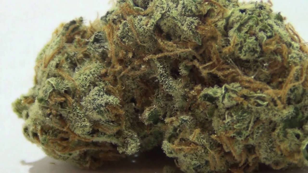 Nevada Medical Marijuana Strawberry Fields from Kabunky Cultivation