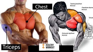 Chest / Triceps Workout with barbell FULL EXERCISE | تمارين الصدر والترايسيبس