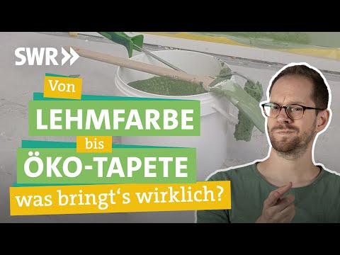 Video: Nachhaltige Renovierung des Hive Apartments von Zvi Belling