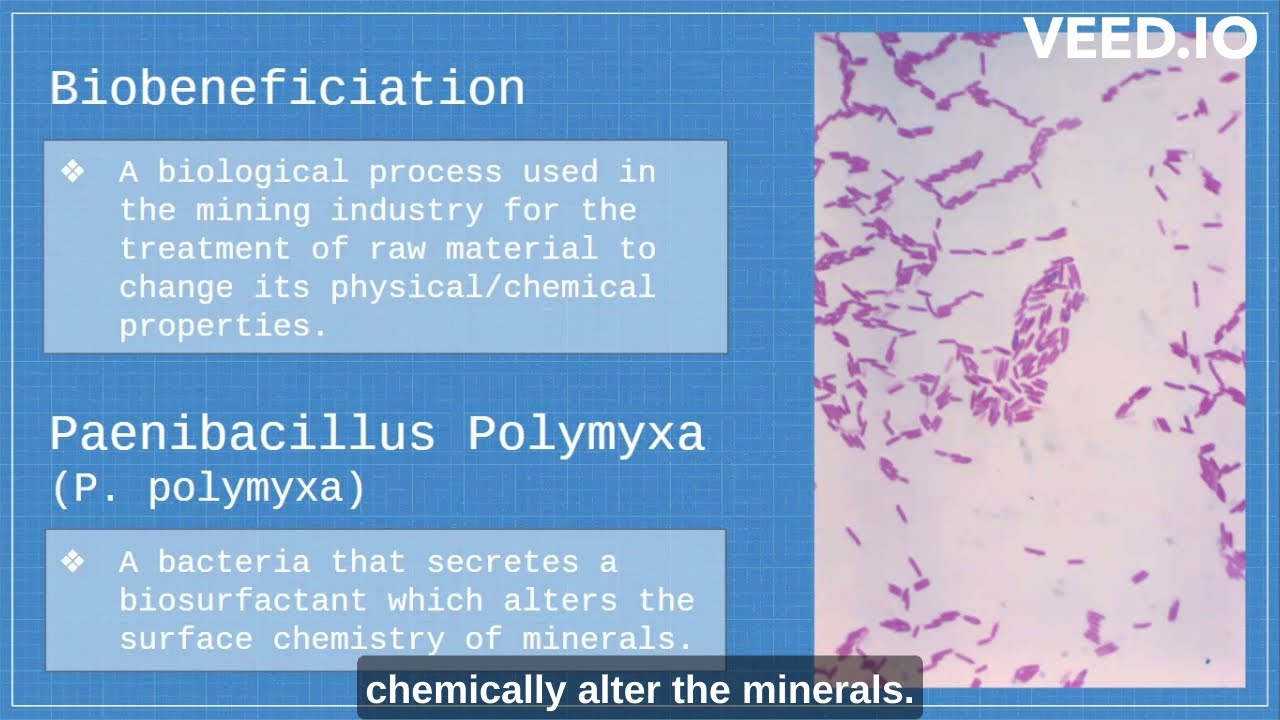 Preview image for 207: Biobeneficiation as Pretreatment to the Flotation of Pegmatite Ore video