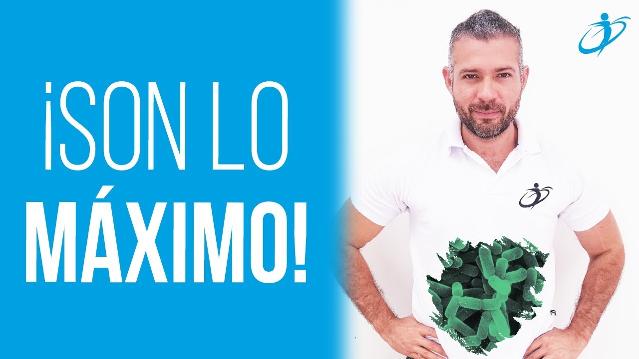 Probioticos sirven para adelgazar