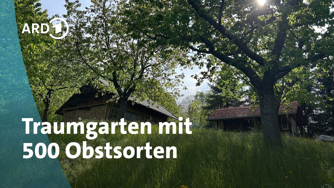 Obstsorten-Paradies in Thüringen: Traumgarten eines Sammlers | MDR Garten