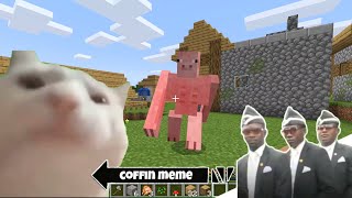 Coffin Meme but Cat is Vibing Part 7 - Minecraft