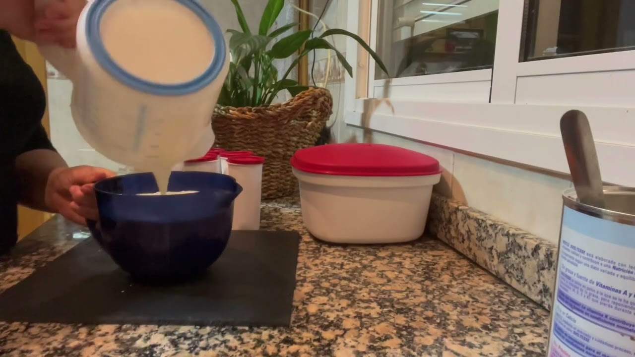 Yogur natural en la Yogurtera Tupperware