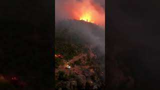 FOREST FIRES #shortvideo #shortsyoutube