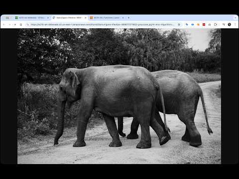 Image Processing on the Fly using Sharp and AWS Lambda