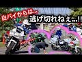 白バイから全力で逃げた結果...⁉️教習所でスキルアップ走行会‼️とキッズバイク体験✨