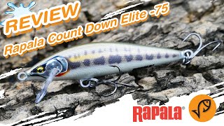 Rapala Countdown Elite-75  ][  Lure Action Review Channel