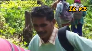 Download lagu Lagu daerah, oha gambus dari solor lewogeka, flores timur